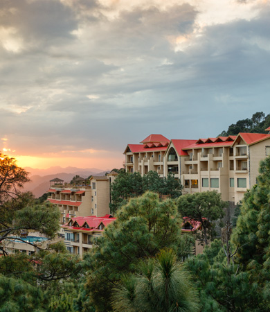 The Mall In Kasauli Himachal Pradesh Timings, Facts